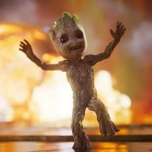 Meet your Posher, Jen